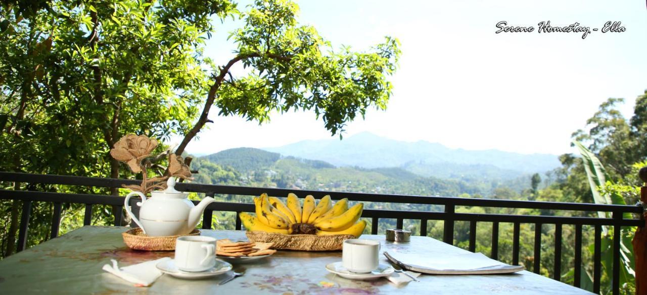 Serene Homestay Ella Esterno foto