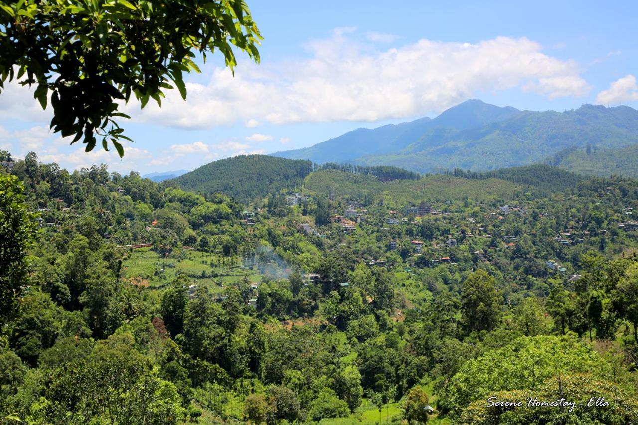 Serene Homestay Ella Esterno foto