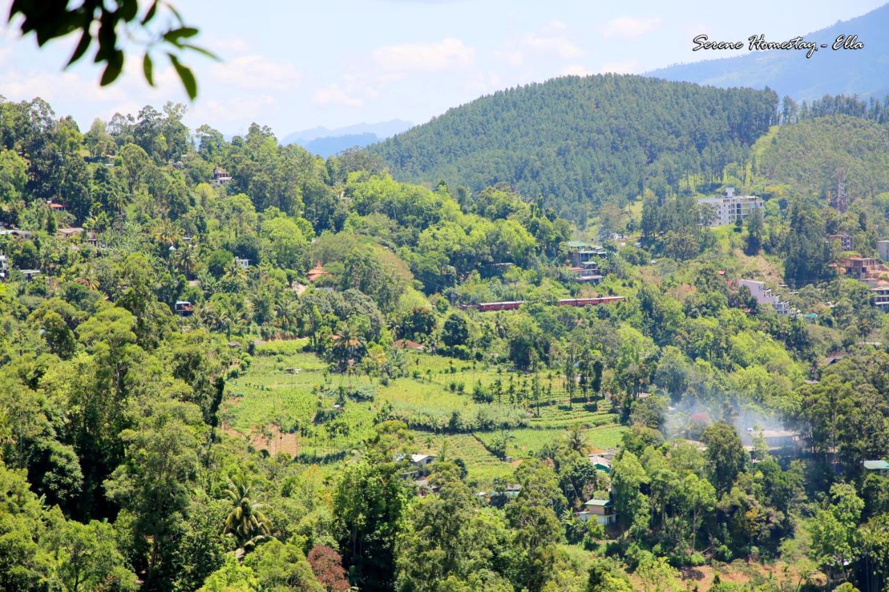 Serene Homestay Ella Esterno foto