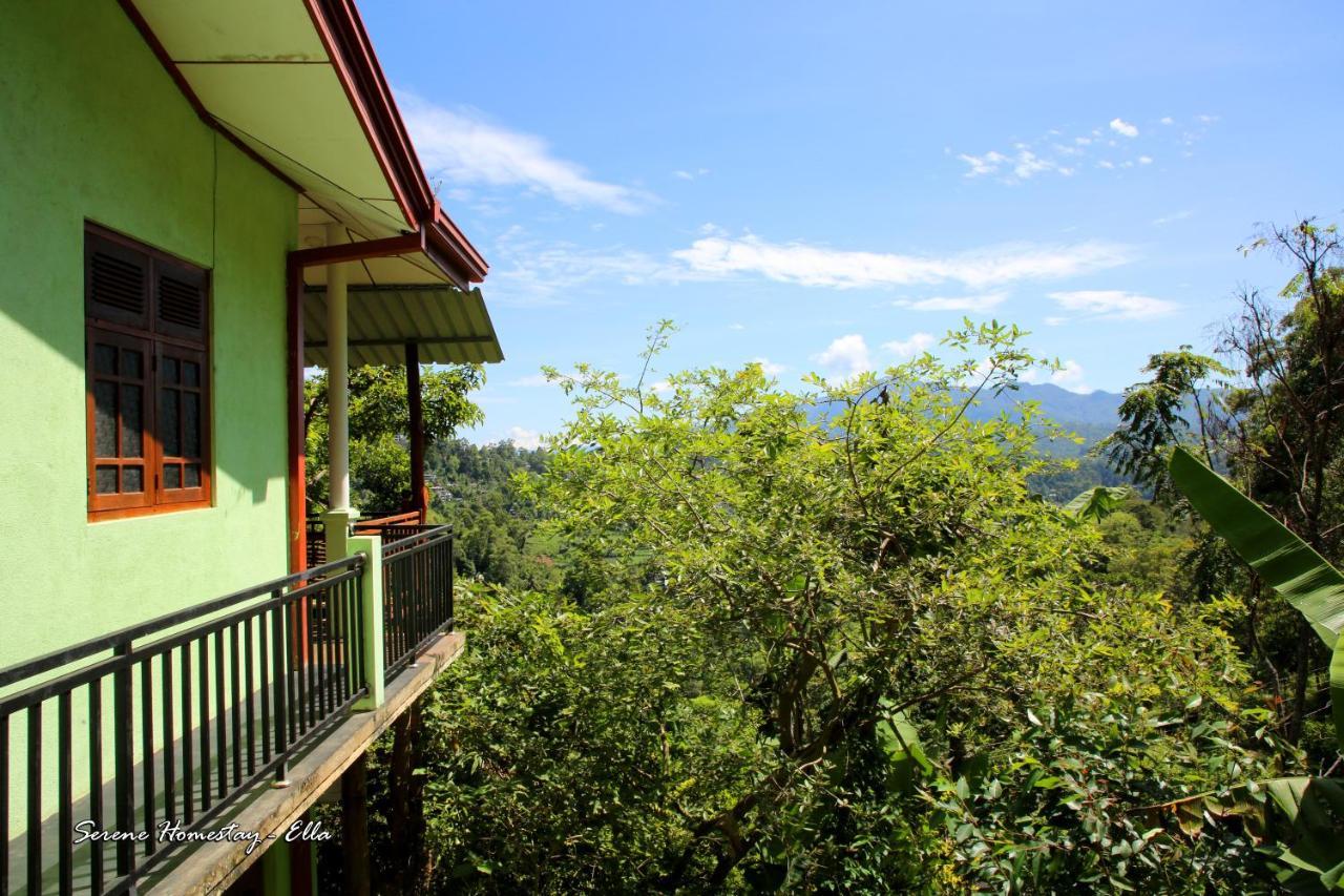 Serene Homestay Ella Esterno foto