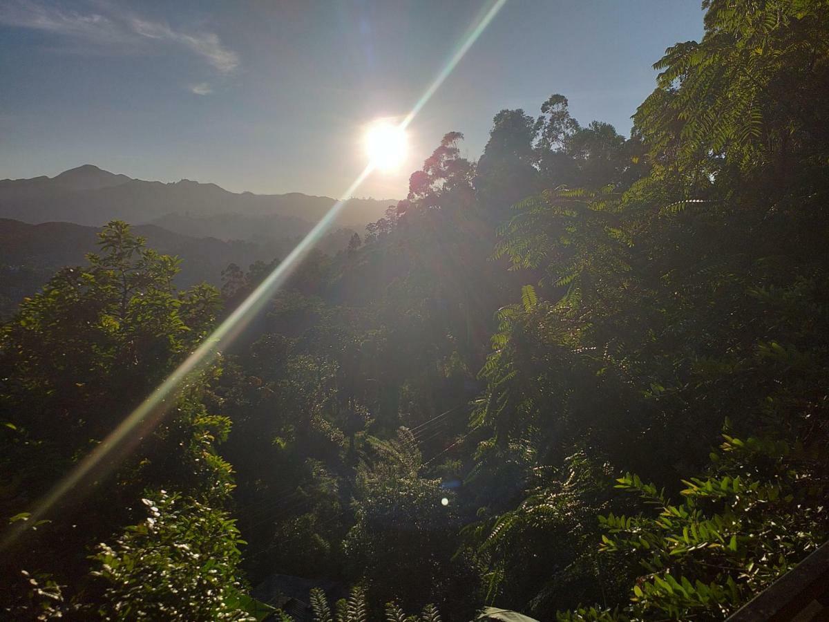 Serene Homestay Ella Esterno foto